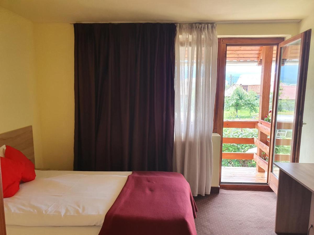 Pensiunea Leia Transfagarasan Cartisoara Exterior foto