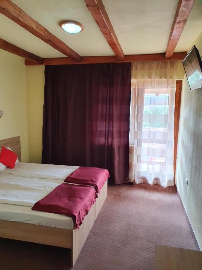 Pensiunea Leia Transfagarasan Cartisoara Exterior foto