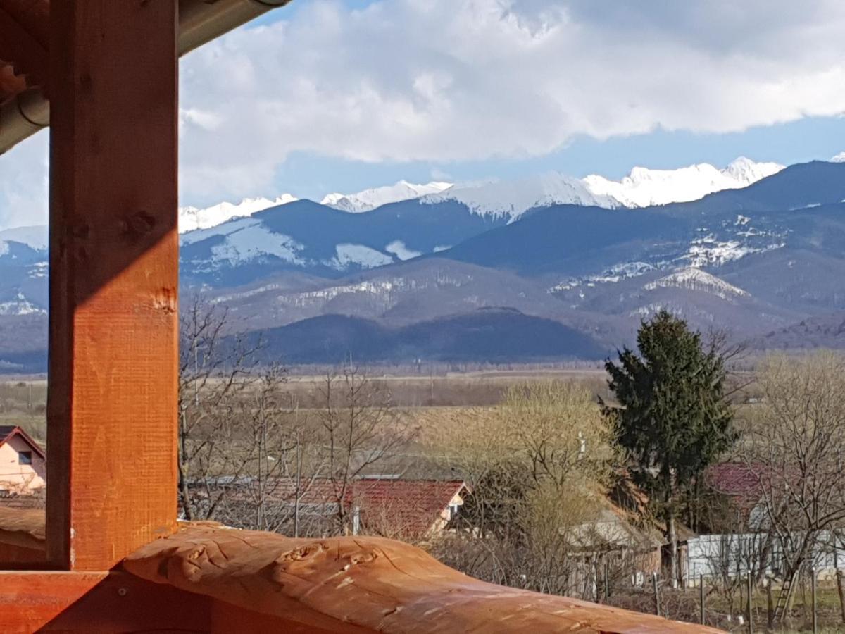 Pensiunea Leia Transfagarasan Cartisoara Exterior foto