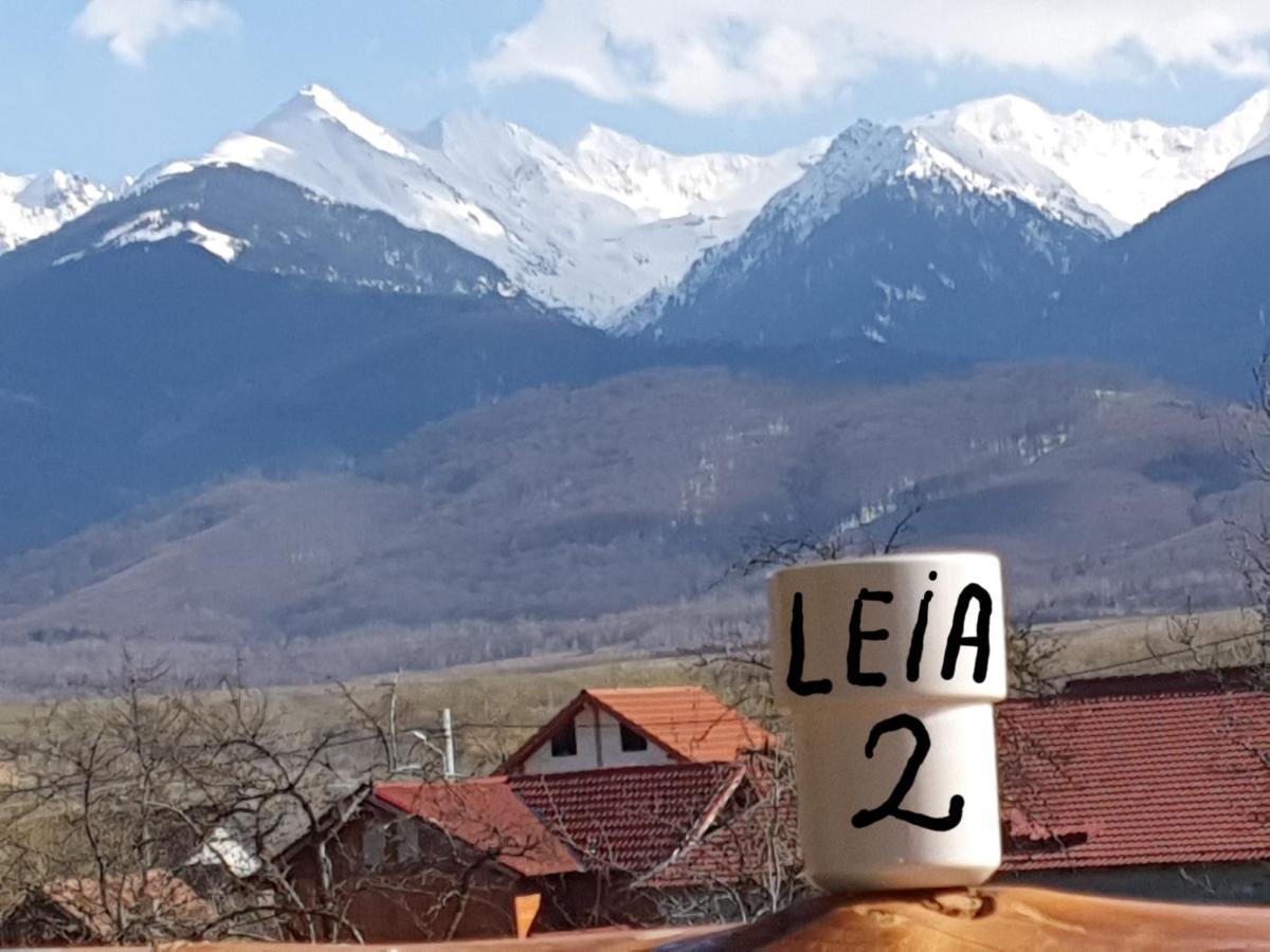 Pensiunea Leia Transfagarasan Cîrţişoara Exterior foto