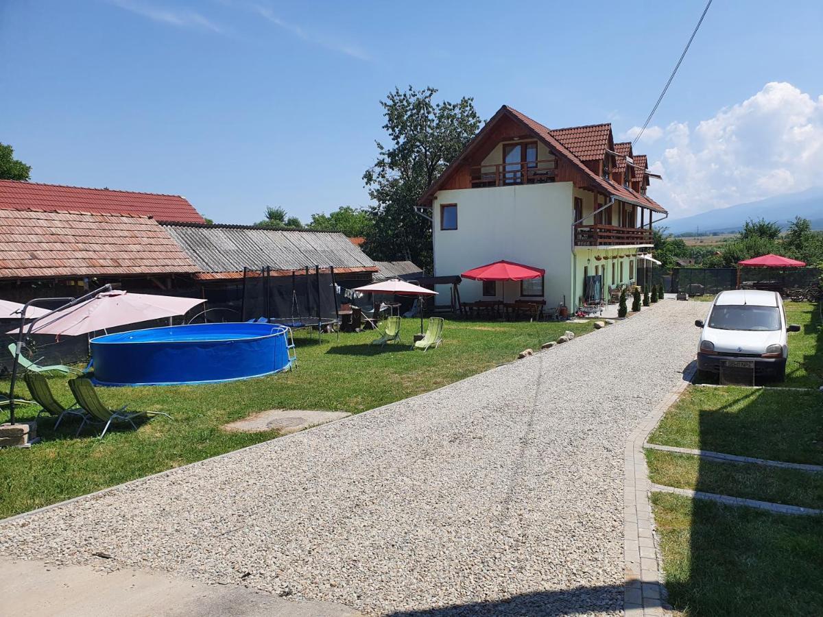 Pensiunea Leia Transfagarasan Cîrţişoara Exterior foto