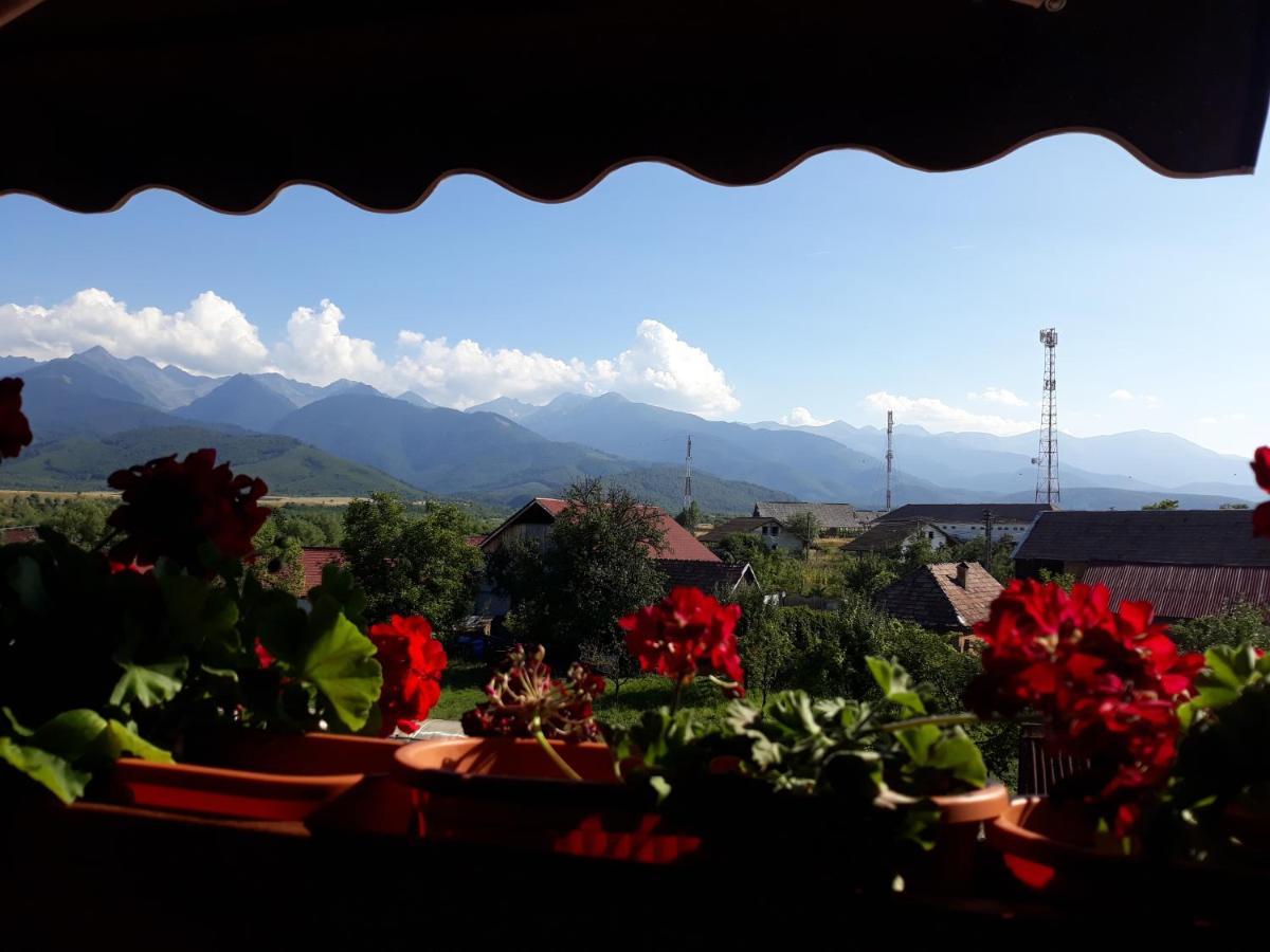 Pensiunea Leia Transfagarasan Cartisoara Exterior foto