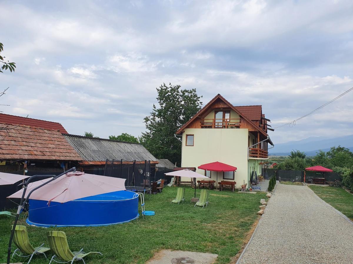 Pensiunea Leia Transfagarasan Cartisoara Exterior foto