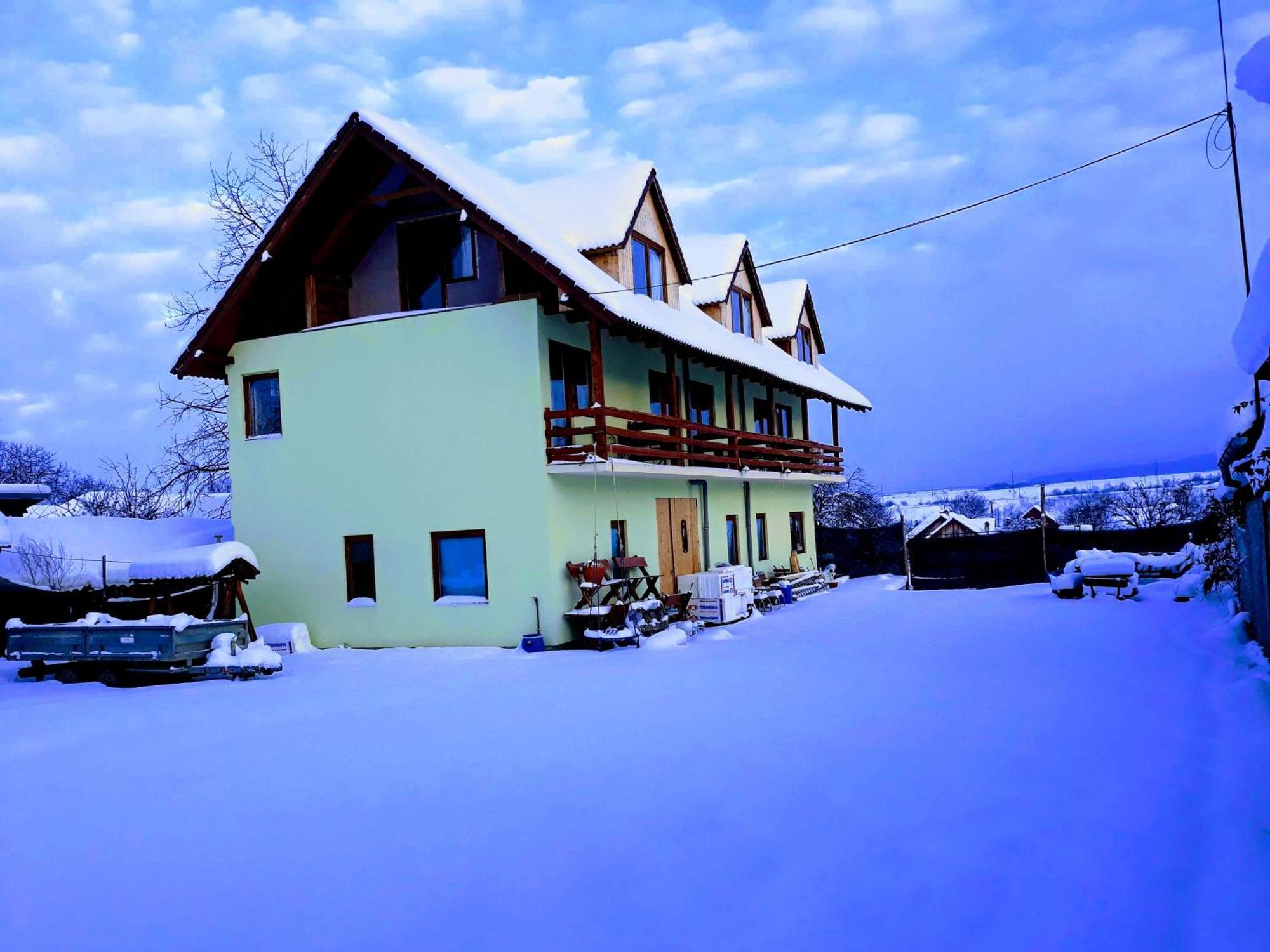 Pensiunea Leia Transfagarasan Cartisoara Exterior foto