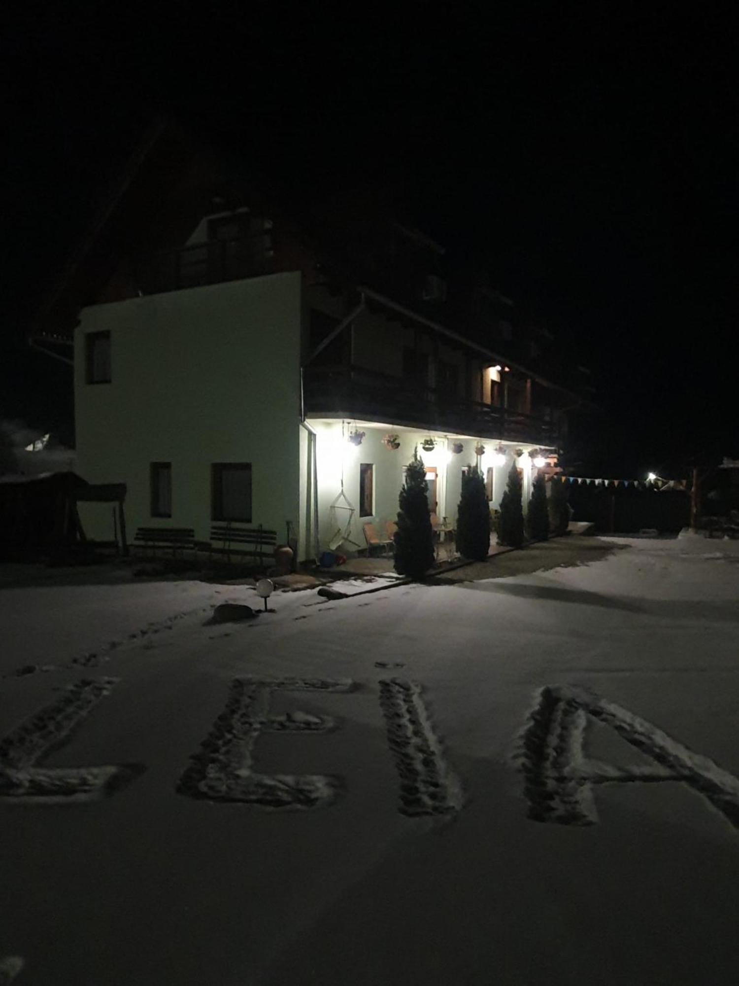 Pensiunea Leia Transfagarasan Cartisoara Exterior foto