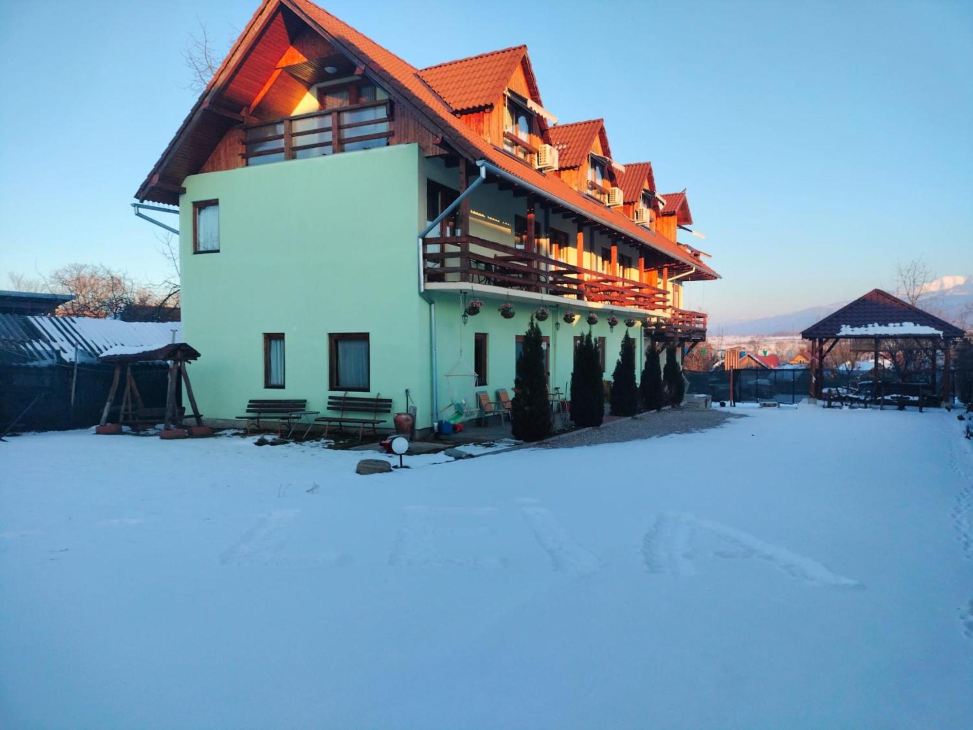 Pensiunea Leia Transfagarasan Cartisoara Exterior foto